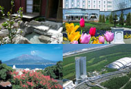 7月8月夏休みの九州旅行